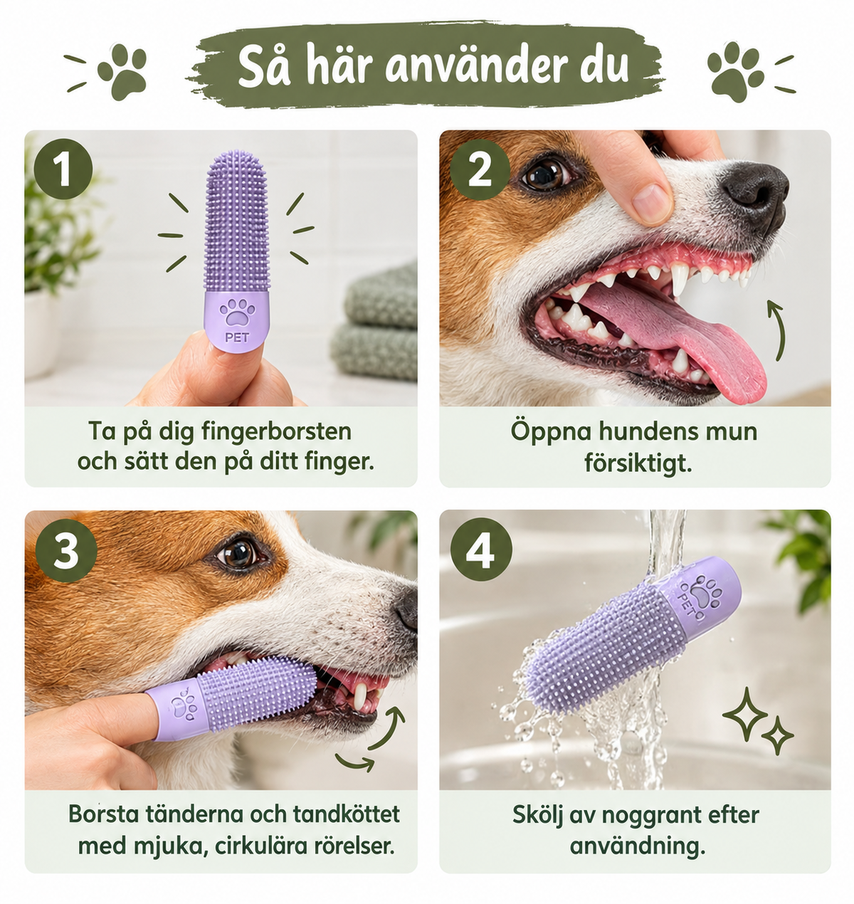 Så här använder du fingertandborsten – borsta hundens tänder i fyra steg