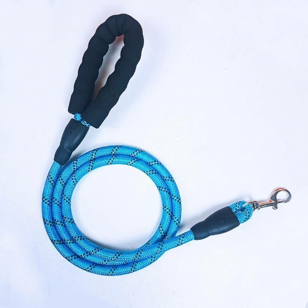 Hundkoppel i nylonrep med reflexer och vadderat handtag – ljusblå