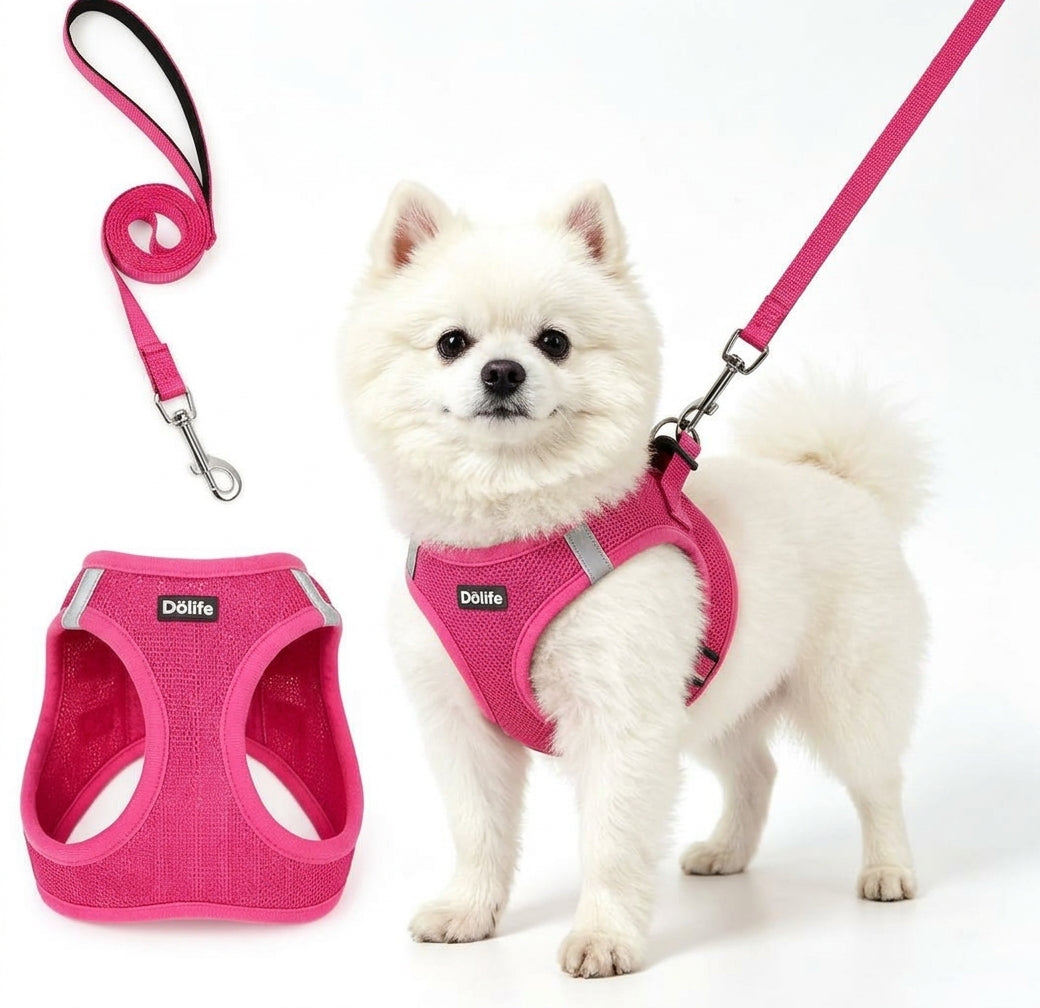 Hundsele med koppel i cerise