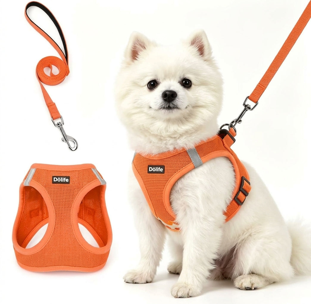 Hundsele med koppel i orange på liten vit hund
