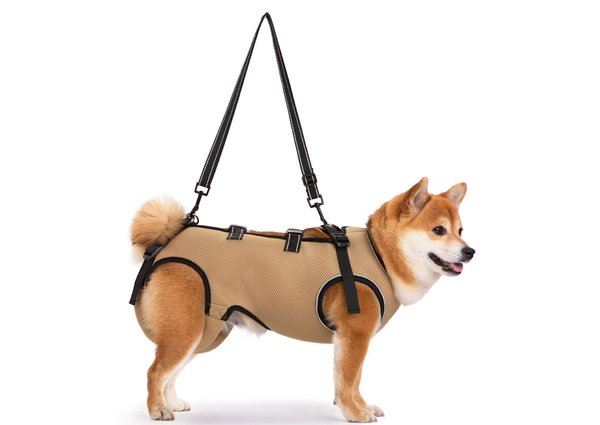 Lyftsele för hund i beige nät med bärhandtag på en shiba