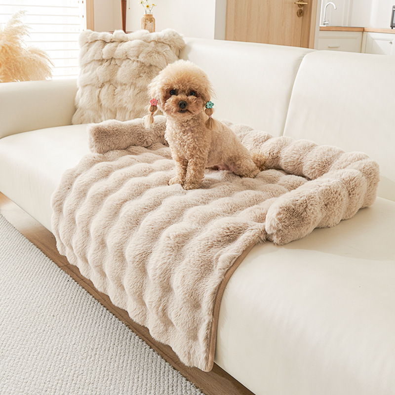 Soffskydd för hund och katt i beige med hund på soffan