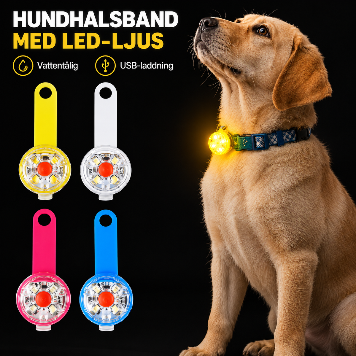 Hundhalsband med LED-ljus – vattentålig och USB-laddning, gul, vit, rosa och blå