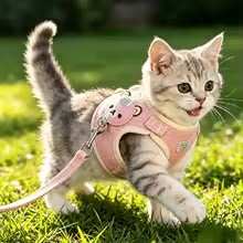 Sele med koppel för katt och liten hund