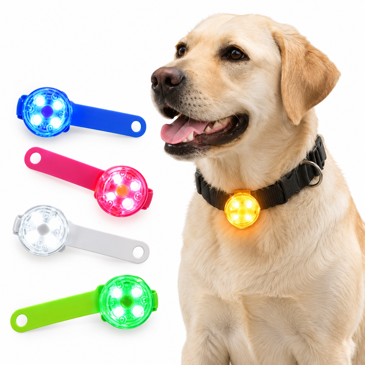 LED-lampa till hundhalsband i blå, rosa, vit och grön – lysande hänge på hund