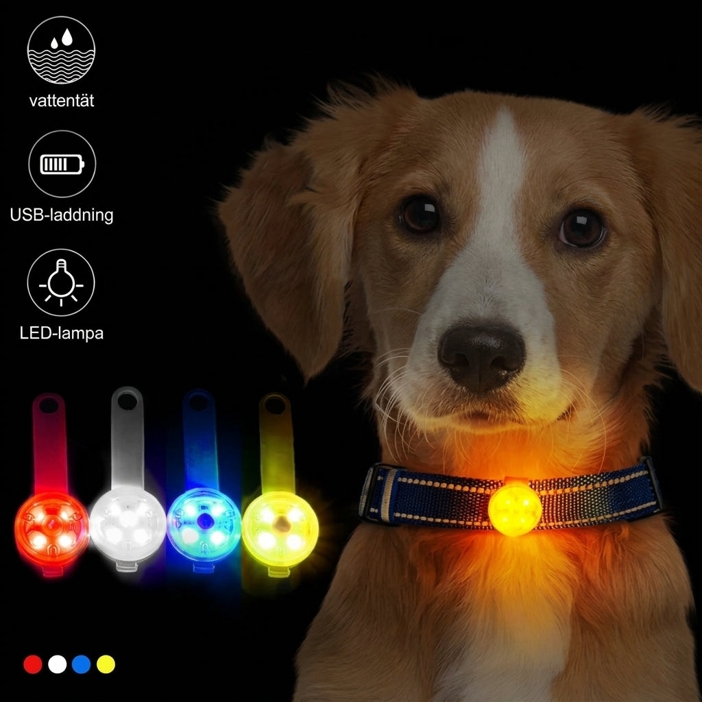 Lysande LED-hänge på hundhalsband i mörkret – röd, vit, blå och gul