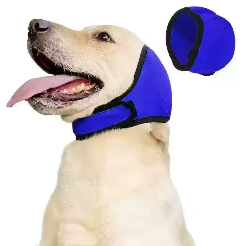 Hörselskydd för hund i blå