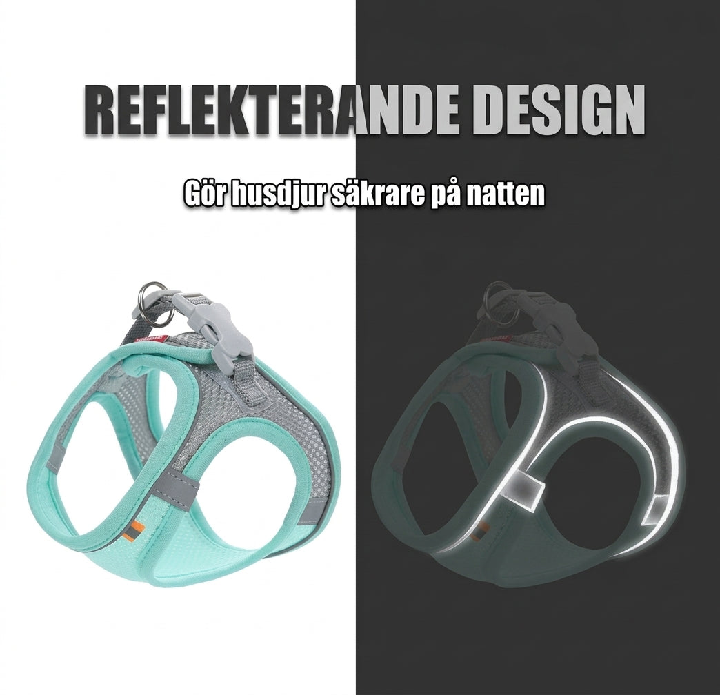 Hundsele och kattsele i mesh med reflexer – turkos