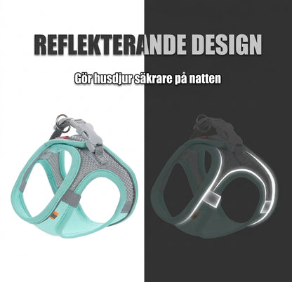 Hundsele och kattsele i mesh med reflexer – turkos