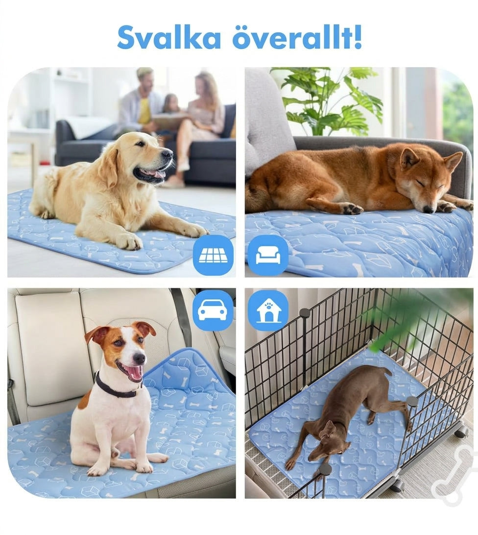 Kylmatta för hund på golvet, i soffan, i bilen och i hundburen – svalka överallt