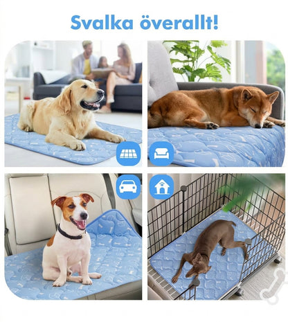 Kylmatta för hund på golvet, i soffan, i bilen och i hundburen – svalka överallt