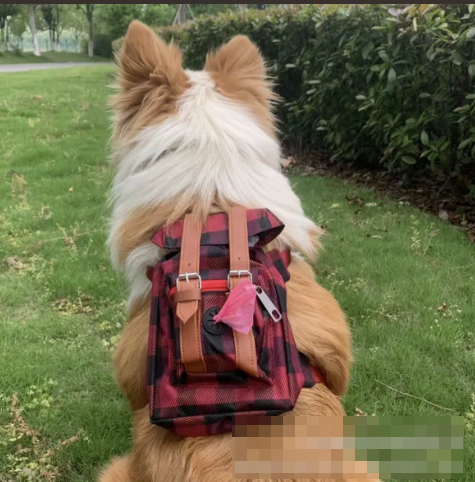 Ryggsäck för hund i rödrutig