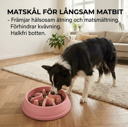 Hund äter ur rosa slow feeder skål – matskål för långsam måltid med halkfri botten