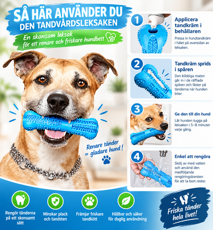 Så använder du tandborsten för hund – tandkräm i hålet, låt hunden tugga och skölj av